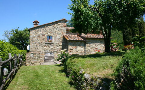 Torre di Vignale: Fabriek, Lucht, Gebouw, Boom, Natuurlijk Landschap, Venster, Land Lot, Huis, Verblijf, Vrije Tijd