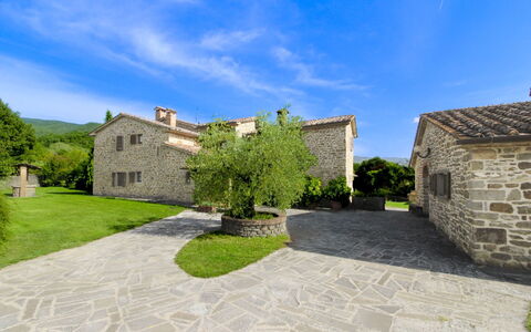 Casale Lorenzo: Boom, Plain, Land Lot, Gazon, Tuin, Landgoed, Weide, Landscaping, Werf, Boerderij