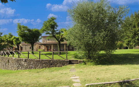 Casale Lorenzo: Boom, Plain, Land Lot, Gazon, Tuin, Landgoed, Weide, Landscaping, Werf, Boerderij