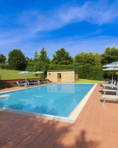 Casale Lorenzo: Boom, Plain, Land Lot, Gazon, Tuin, Landgoed, Weide, Landscaping, Werf, Boerderij