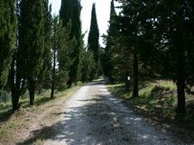 Podere della Crocchia