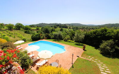 Villa Verniana: Fabriek, Bloem, Water, Lucht, Plantengemeenschap, Boom, Natuurlijk Landschap, Natuurlijke Omgeving, Zwembad, Vrije Tijd