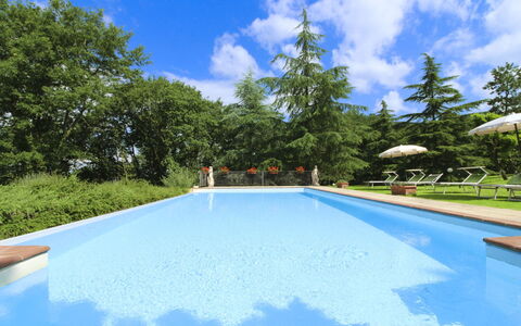 Villa Cecilia: Huis, Huis, Landgoed, Verblijf, Gazon, Tuin, Landscaping, Boerderij, Hacienda, Werf