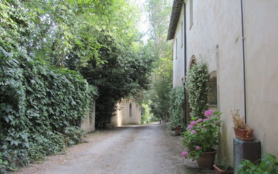 Accommodatie:&nbsp;Borgo