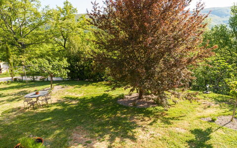 Casa la Primula: Fabriek, Plantengemeenschap, Groen, Afdeling, Natuurlijk Landschap, Land Lot, Vegetation, Boom, Gras, Schaduw