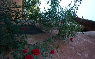 Accommodatie:&nbsp;Sant'elena