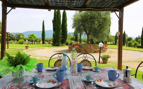 Podere Marcigliano: Tableware, Tafel, Fabriek, Eigendom, Groen, Interieur Ontwerp, Lucht, Textiel, Boom, Schaduw