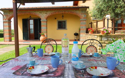 Podere Marcigliano: Tableware, Tafel, Eigendom, Meubilair, Fabriek, Dishware, Gebouw, Stoel, Azure, Drinkware