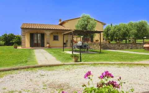 Podere Marcigliano: Tuin, Verblijf, Boerderij, Schaduw, Landscaping, Landgoed, Werf, Backyard, Stenen Muur, Hacienda