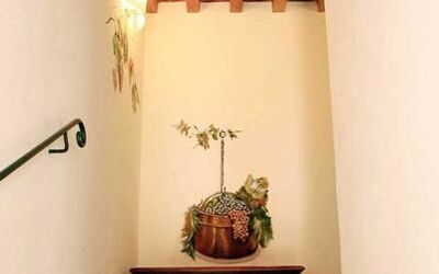 Accommodatie:&nbsp;Vite