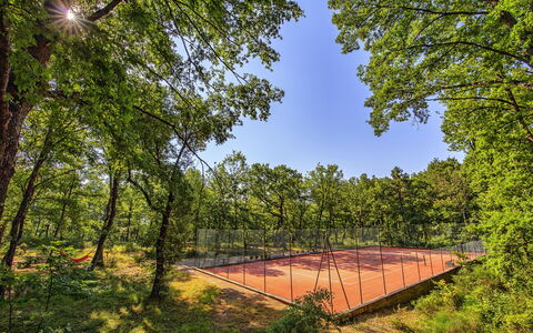 Podere Sant'angelo: Natuur, Boom, Natuurlijk Landschap, Natuurlijke Omgeving, Lucht, Natuurgebied, Woud, Bos, Biome, Blad