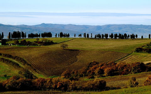 Dante: Grasland, Natuurlijk Landschap, Heuvel, Hoogland, Groen, Bergachtig Landvormen, Pasture, Natuurlijke Omgeving, Lucht, Berg