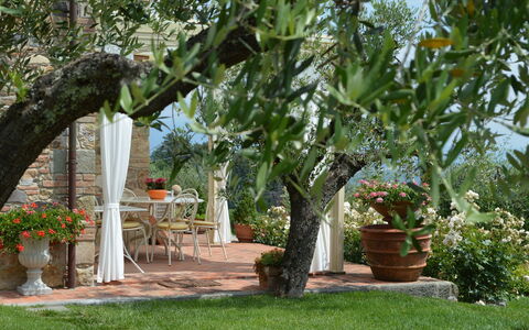 Nel Guasto: Boom, Eigendom, Tuin, Fabriek, Plantkunde, Backyard, Werf, Woody Plant, Bloem, Landscaping