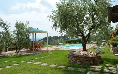 Nel Guasto: Eigendom, Werf, Gras, Backyard, Boom, Gazon, Onroerend Goed, Huis, Landscaping, Land Lot