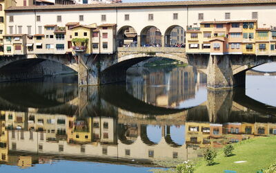 Florence 546