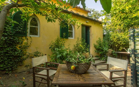 Villa Pedone: Geel, Struik, Deur, Tuin, Huis, De Lente, Bloempot, Verblijf, Backyard, Schaduw