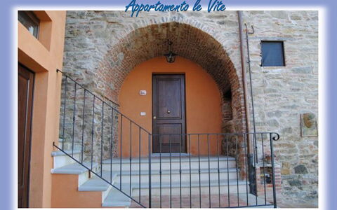 Accommodatie:&nbsp;Le Viti