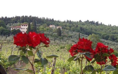 Villa Luigi - Rignano Sull'Arno, Toscane, Italië