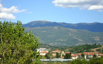 Mugnai Home