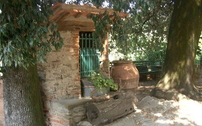 Villa Polvano Cantina - the old well