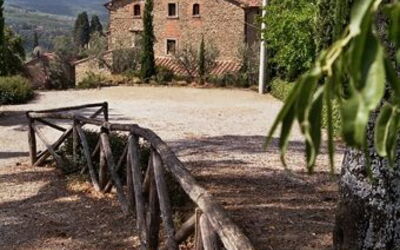 Accommodatie:&nbsp;Picchio 2