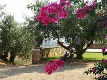 Villa Giulia Follonica