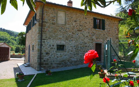 Casa Antica: Fabriek, Gebouw, Lucht, Eigendom, Venster, Groen, Bloem, Boom, Huis, Gras