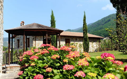 Accommodatie:&nbsp;Margherita