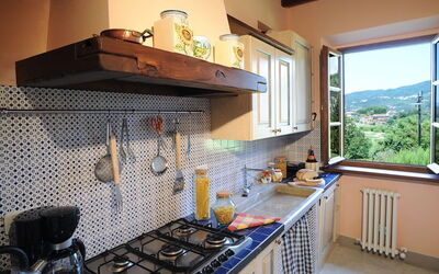 Accommodatie:&nbsp;Camelia
