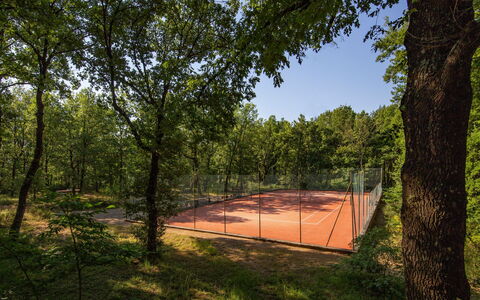 Villa Sant' Angelo: Boom, Afdeling, Trunk, Schaduw, Zonlicht, De Lente, Bos, Takje, Bosje