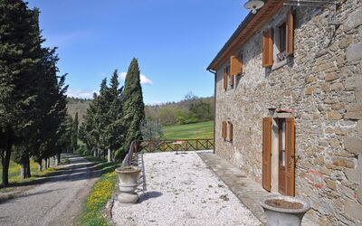 Tabaccaia
