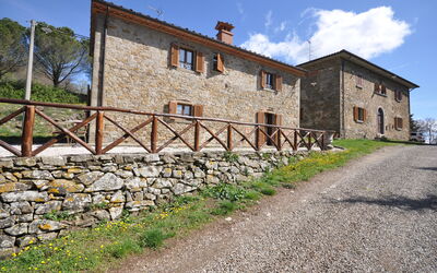 Tabaccaia