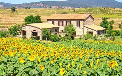 Casale Sugherino - Scansano, Toscane, Italië