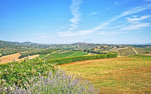 Vittoriana: Lucht, Natuurlijk Landschap, Natuur, Blauw, Groen, Grasland, Heuvel, Gras, Natuurlijke Omgeving, Wolk