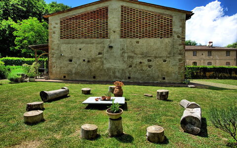 Villa Diletta: Gras, Groen, Boom, Land Lot, Grassenfamilie, Landelijk Gebied, Architectuur, Huis, Werf, Tuin