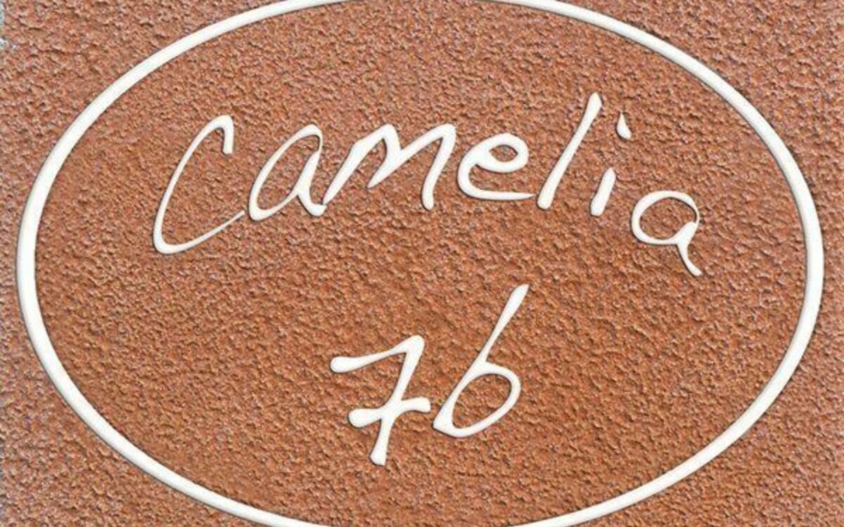 Accommodatie:&nbsp;Camelia