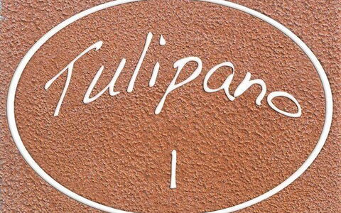 Accommodatie:&nbsp;Tulipano