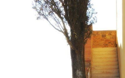 Accommodatie:&nbsp;Ortensia