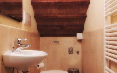 Accommodatie:&nbsp;Dalia