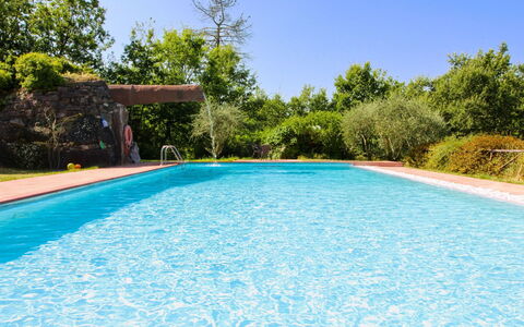 La Casetta nel Bosco: Landgoed, Boerderij, Tuin, Landscaping, Hacienda, Gazon, Villa, Werf, Backyard, Herenhuis