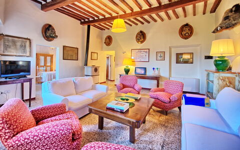 Accommodatie:&nbsp;Marsilia 1