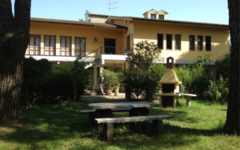 Villa Quattro Mori: Fabriek, Gebouw, Lucht, Eigendom, Venster, Boom, Schaduw, Land Lot, Woongebied, Gras