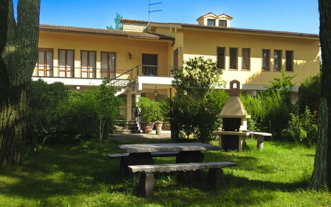 Villa Quattro Mori: Tuin, Gazon, Landscaping, Schaduw, Buitenmeubels, Park, Hacienda, Landgoed, Werf, Eco Hotel