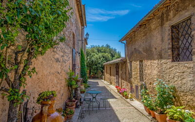 Accommodatie:&nbsp;Il Ligustro 300.7