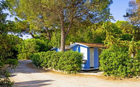 Accommodatie:&nbsp;Etruria 200.1