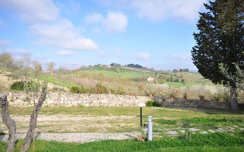 Capannino: Land Lot, Pasture, Weide, Gras, Boom, Grassenfamilie, Landelijk Gebied, Lucht, Grasland, De Lente