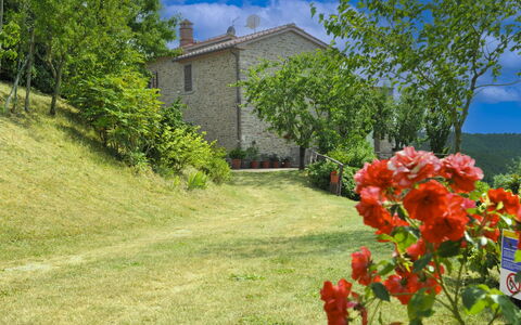 Casetta i Ciliegi: Tuin, Verblijf, Boerderij, Schaduw, Landscaping, Landgoed, Werf, Backyard, Stenen Muur, Hacienda