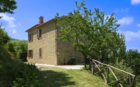 Casetta i Ciliegi: Tuin, Verblijf, Boerderij, Schaduw, Landscaping, Landgoed, Werf, Backyard, Stenen Muur, Hacienda