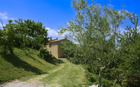 Casetta i Ciliegi: Tuin, Verblijf, Boerderij, Schaduw, Landscaping, Landgoed, Werf, Backyard, Stenen Muur, Hacienda