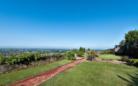 Villa Camaiore: Lucht, Eigendom, Gras, Onroerend Goed, Dag, Land Lot, Boom, Tuin, Plantkunde, Gazon